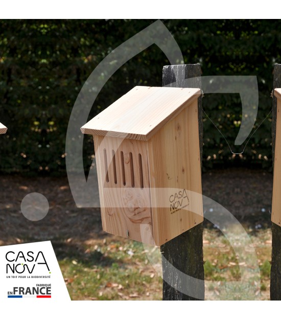 Gîte à coccinelles Casanova