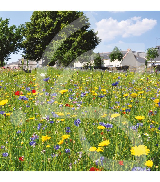 Natura auxiliaires de culture - Prairie Sauvage