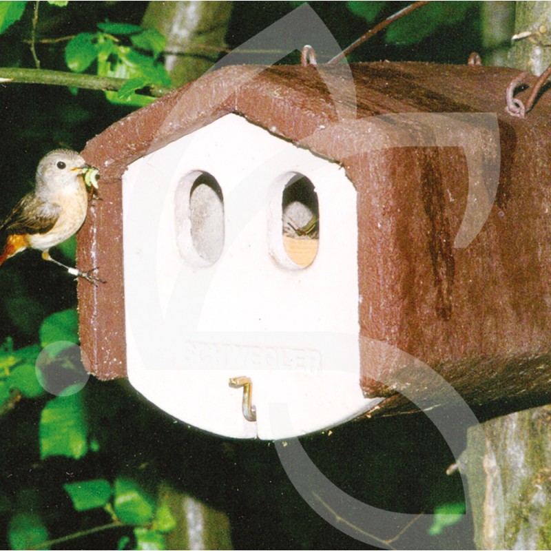 Nid pour oiseaux vivant en cavité