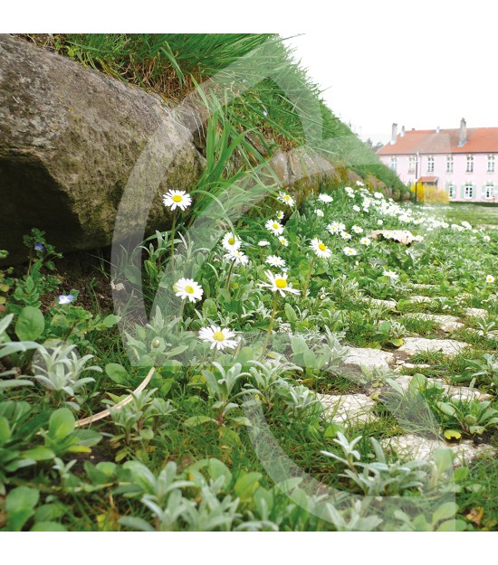 BIO COUV' ENHERBEMENT DIVERSIFIE CONNECT