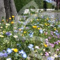 Bio Couv' Pied d'Arbre Auxiliaires Connect