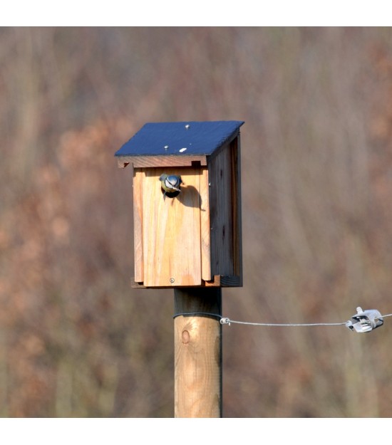 Nichoir à Mésange Toit inox