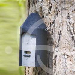 Nid pour oiseaux vivant en cavité