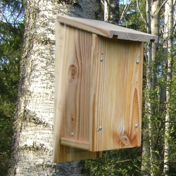 GITE A CHAUVES-SOURIS BOITE A LETTRE 101