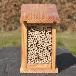 GITE POUR ABEILLES SAUVAGES - BOIS