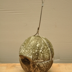 NICHOIR TROGLODYTE VERT